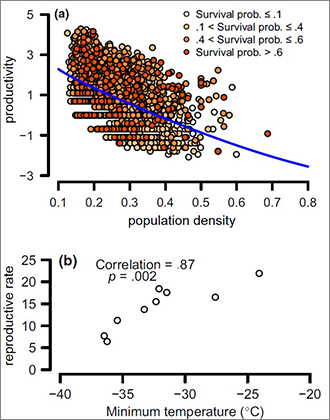 Figure. Contrasting effects of population density and temperature on bark beetle populations. Bark beetle productivity declines with population density at the site level (a), counteracting the positive effects of warmer winter temperatures on bark beetle reproductive rates (b). 